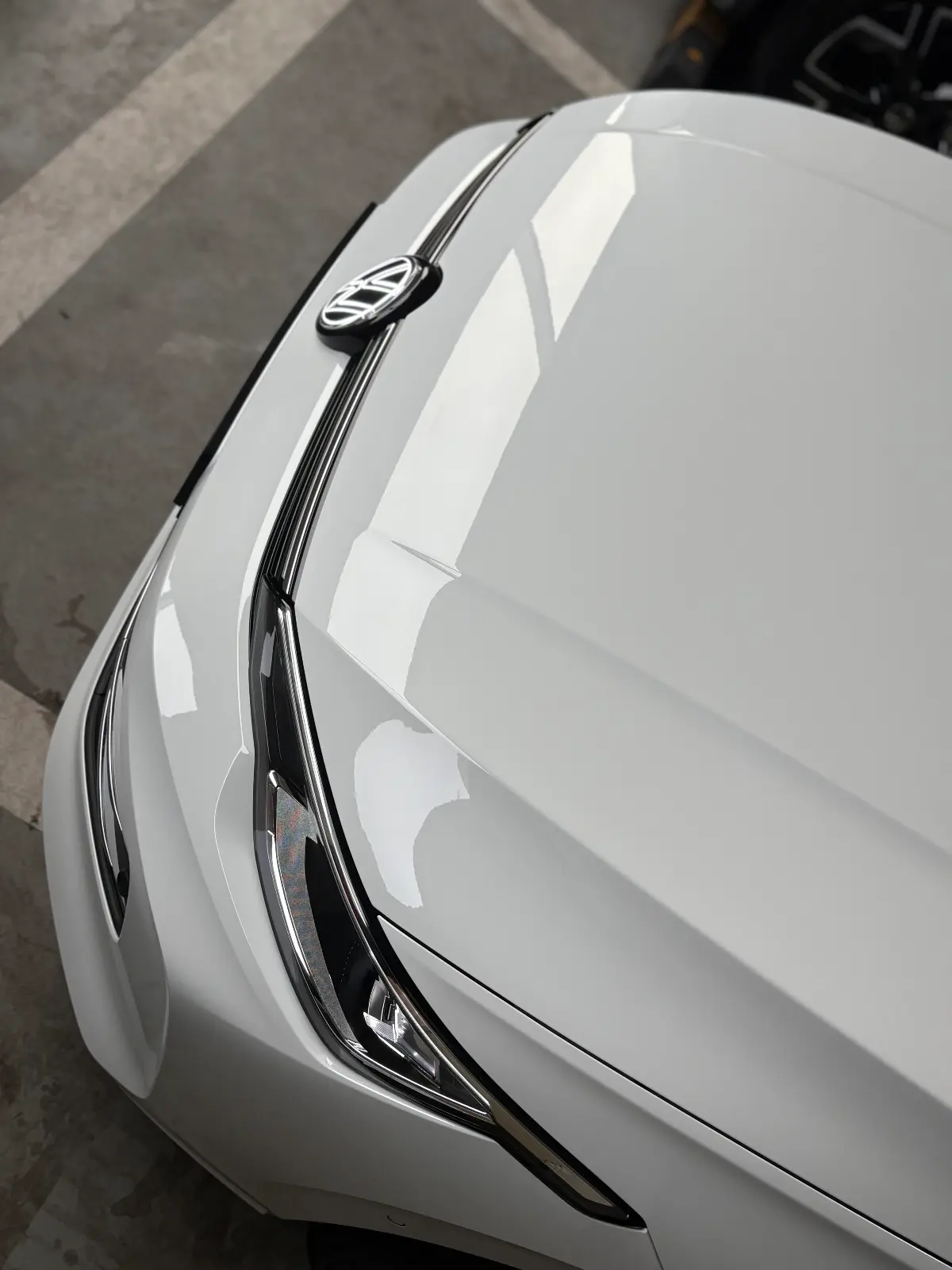 폭스바겐 골프 퓨어 화이트 TDI 프레스티지 2025년식 실물 사진 10/18