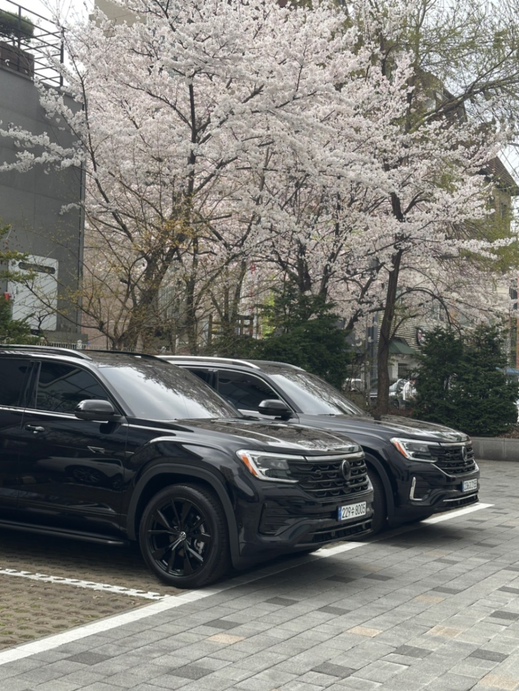 폭스바겐 아틀라스 딥 블랙 펄 R-Line 2026년식 실물 사진 10/10 - 블랙에디션 vs 일반